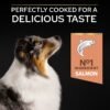 Purina Pro Plan Sensitive Digestion SMALL & MINI PUPPY Dry Dog Food Salmon - 3KG - Image 2