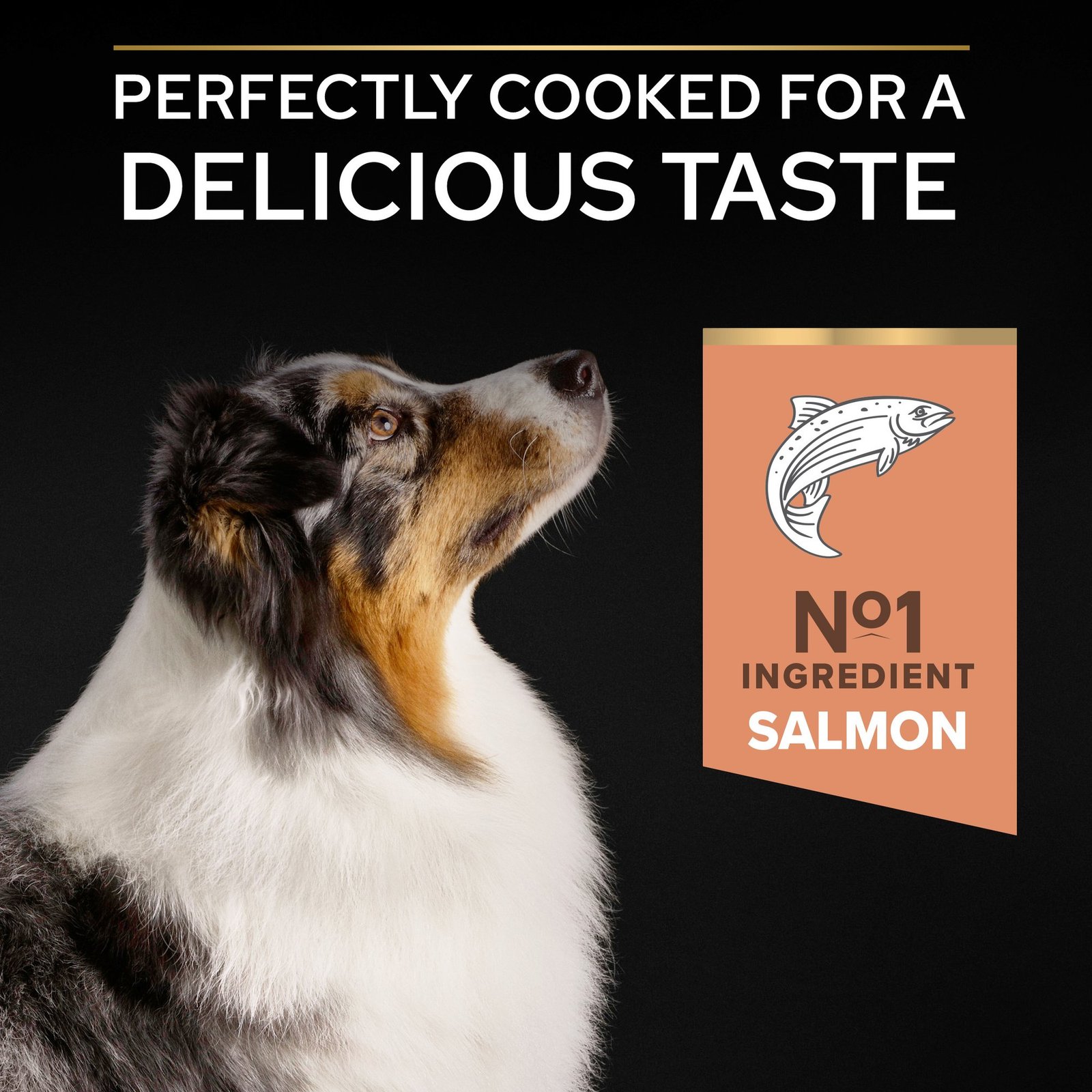 Purina Pro Plan Sensitive Digestion SMALL & MINI PUPPY Dry Dog Food Salmon - 3KG - Image 2