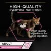Purina Pro Plan Delicate Digestion Adult Cat Wet Food with Turkey in Gravy - 85g - Image 3