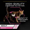 Purina Pro Plan Adult Cat Delicate Mousse Rich In Turkey 85G - Image 2