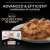 Purina Pro Plan Delicate Digestion Adult Cat Wet Food Ocean Fish in Gravy -85g - Image 2