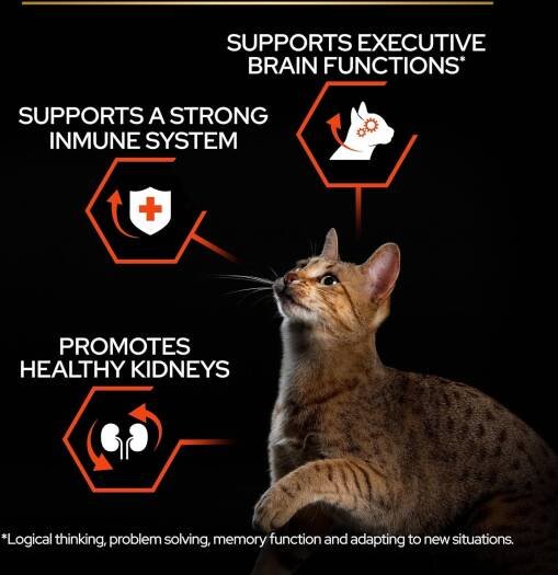 Purina Pro Plan Vital Functions Adult Cat Dry Food - Salmon 1.5kg - Image 2