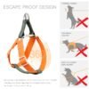 Ombre Dog Harness & Leash Set - Green/Orange - LARGE - Image 3