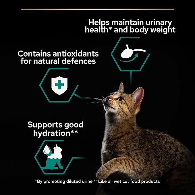 Purina Pro Plan Sterilised Maintenance Adult Wet Cat Food Beef In Gravy- 85G - Image 2