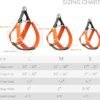 Ombre Dog Harness & Leash Set - Green/Orange - LARGE - Image 4