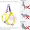 Ombre Dog Harness & Leash Set - Purple/Yellow - MEDIUM - Image 2