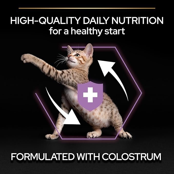 Purina Pro Plan Healthy Start Kitten Dry Food - Chicken 1.5kg - Image 4