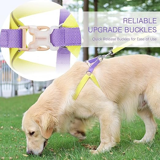 Ombre Dog Harness & Leash Set Purple/Yellow - LARGE - Image 3