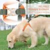 Ombre Dog Harness & Leash Set - Green/Orange - LARGE - Image 2