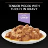 Purina Pro Plan Healthy Start Kitten Wet Food Turkey in Gravy- 85g - Image 3