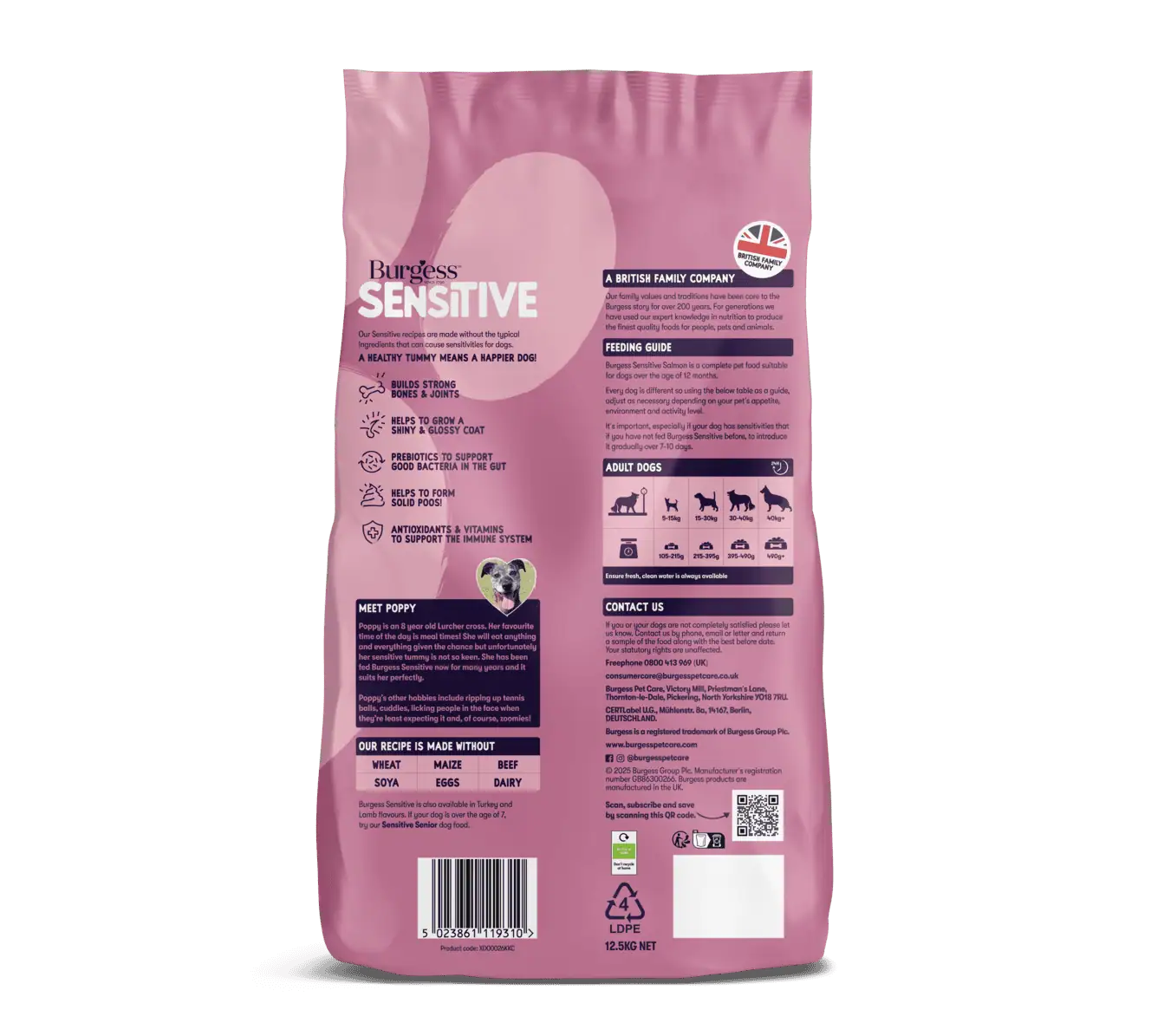 Burgess Sensitive Adult Dog Salmon - Image 3