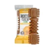 Absolute Holistic PUMPKIN Grain-Free Dental Dog Chew Treat 25g