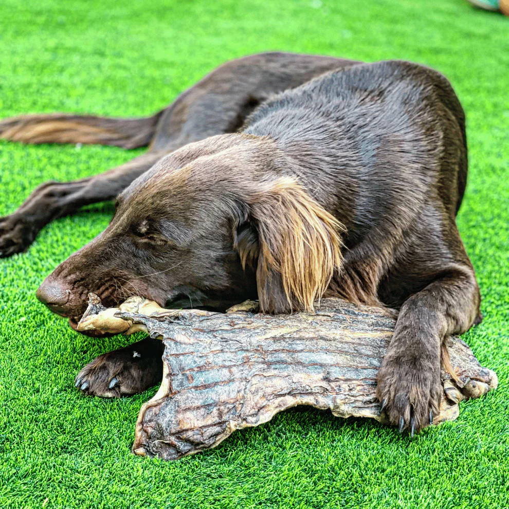 Doggy Village Flat Beef Skin- 2 piece - Image 2