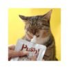 Push! Potassium Heart & Gut Health Chicken Flavor Cat Wet Food 110g - Image 2