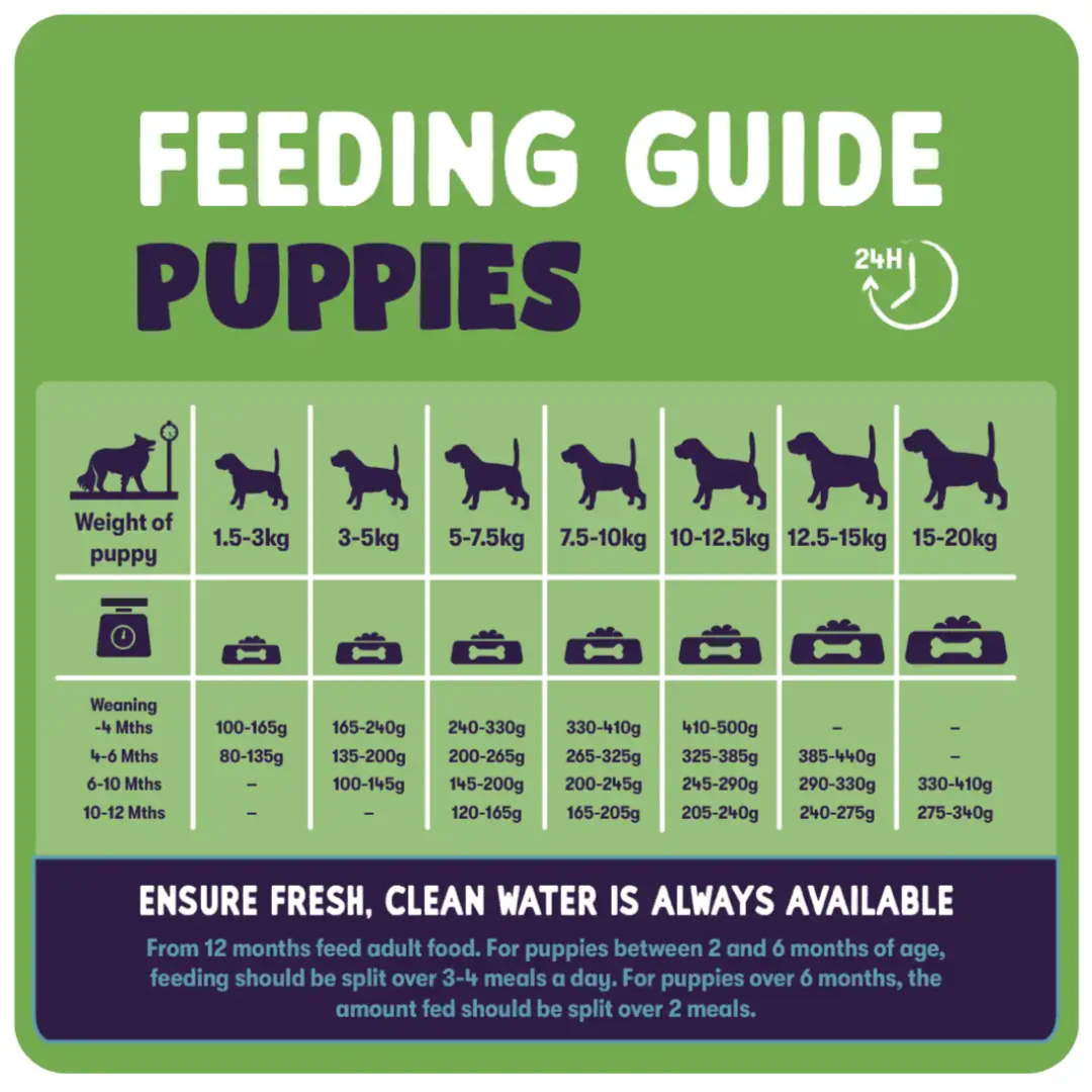 Burgess Sensitive Rich In Turkey Puppy Complete Bundle - 700Gx3 - Image 4