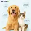 DOCTORPET Perfume Haze 50ML - Image 2