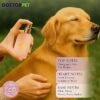 DOCTORPET Perfume Lush 50ML - Image 2