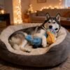 BLUE PELICAN Squeaky Toy - Image 4